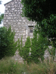 Similar image 22692817
