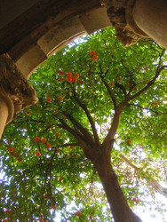 Similar image 22692820