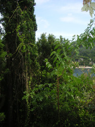 Similar image 22692830