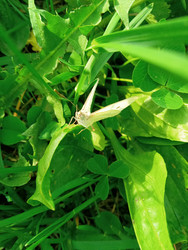Similar image 22694103