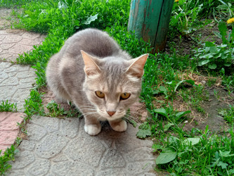Similar image 22694111