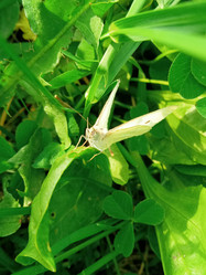 Similar image 22694114