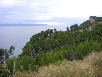 Similar image 22692843