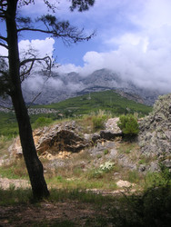 Similar image 22692844