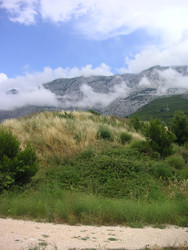 Similar image 22692850