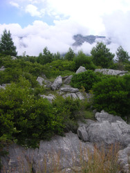 Similar image 22692851