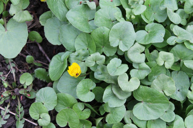 Similar image 22692870