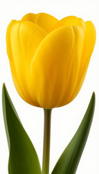 Similar image 22709485