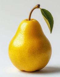 Similar image 22709772