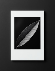 Similar image 22722109