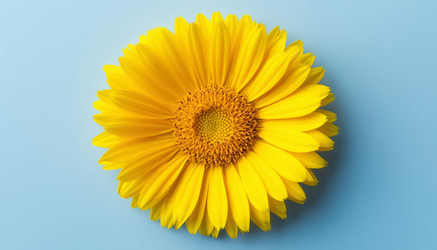 Similar image 22709367