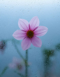 Similar image 22709612
