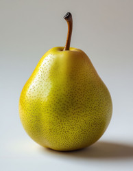 Similar image 22722102