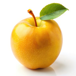 Similar image 22733409