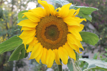 Similar image 22692838