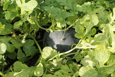 Similar image 22692841