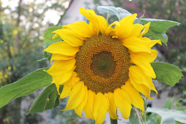 Similar image 22692807