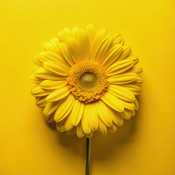 Similar image 22731084