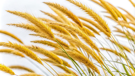 Similar image 22731398
