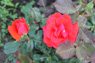 Similar image 22692823