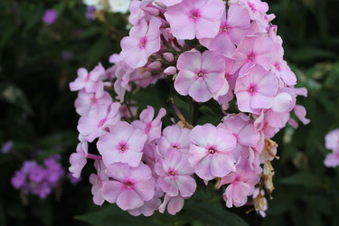 Similar image 22692824