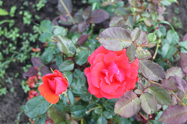 Similar image 22692825