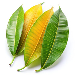 Similar image 22721490