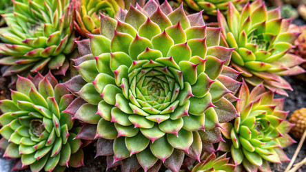 Similar image 22721550