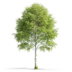 Similar image 22722509
