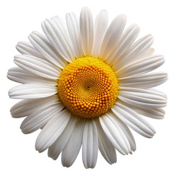 Similar image 22724610