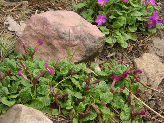 Similar image 22692809