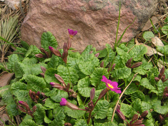 Similar image 22692810