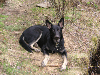 Similar image 22692811