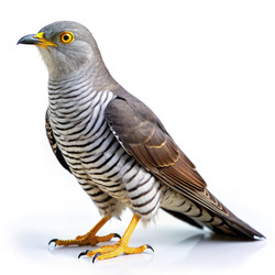 Similar image 22721447