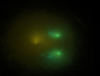 Similar image 22708667