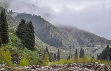 Similar image 22712110