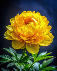 Similar image 22722813