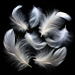 Similar image 22722909