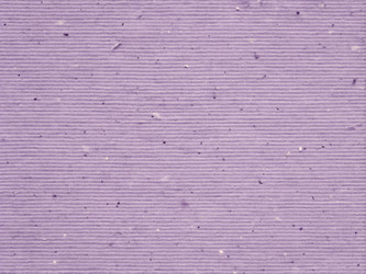 Similar image 22715618