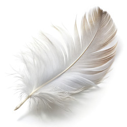 Similar image 22715708