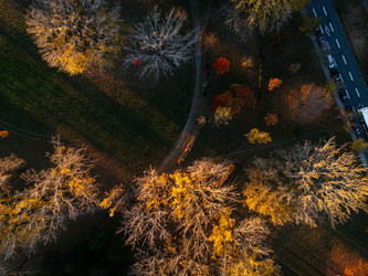 Similar image 22711051