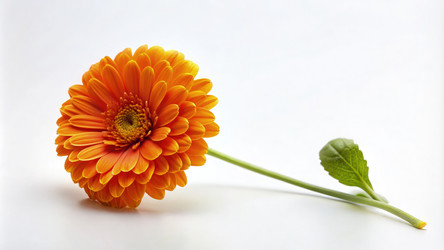 Similar image 22715969
