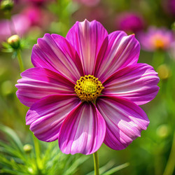 Similar image 22716104