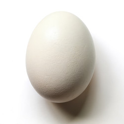 Similar image 22716688