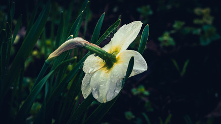 Similar image 22702328