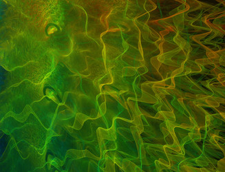 Similar image 22708592