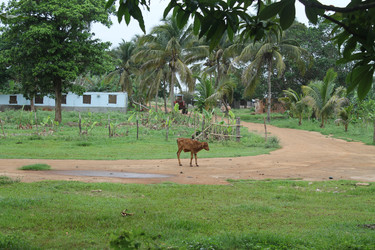 Similar image 22712493
