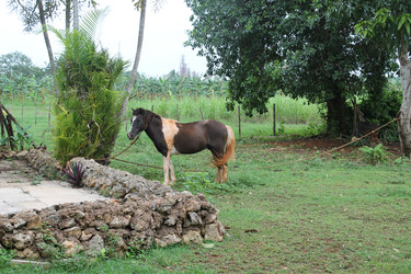 Similar image 22712494