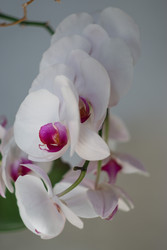 Similar image 22702311