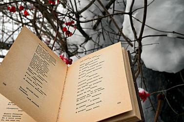 Similar image 22712257